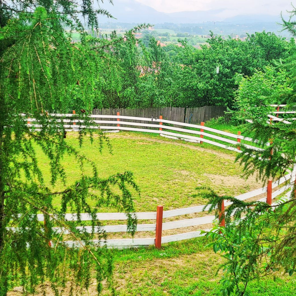 Horseback Riding Near Bran - Nature Riding Experience