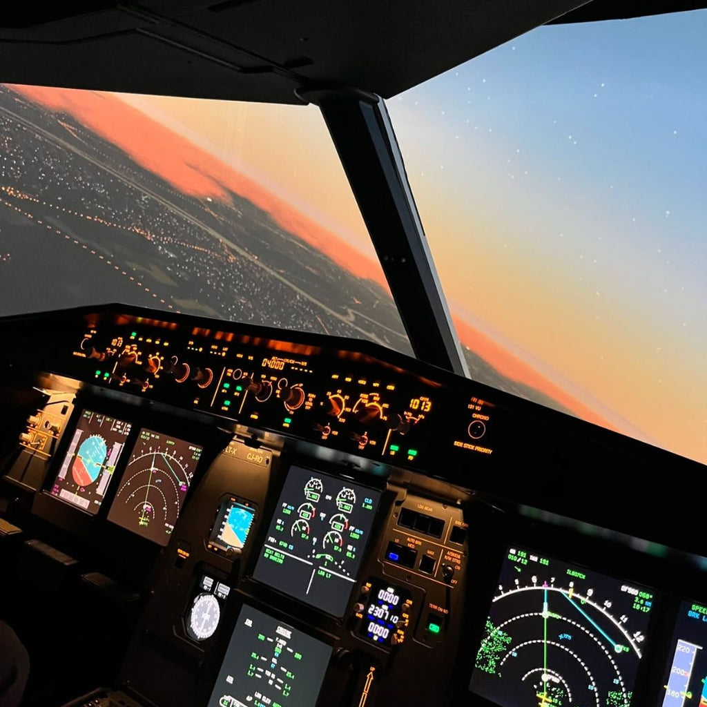 Airbus A320 Flight Simulator & Fear of Flying Counseling Cluj