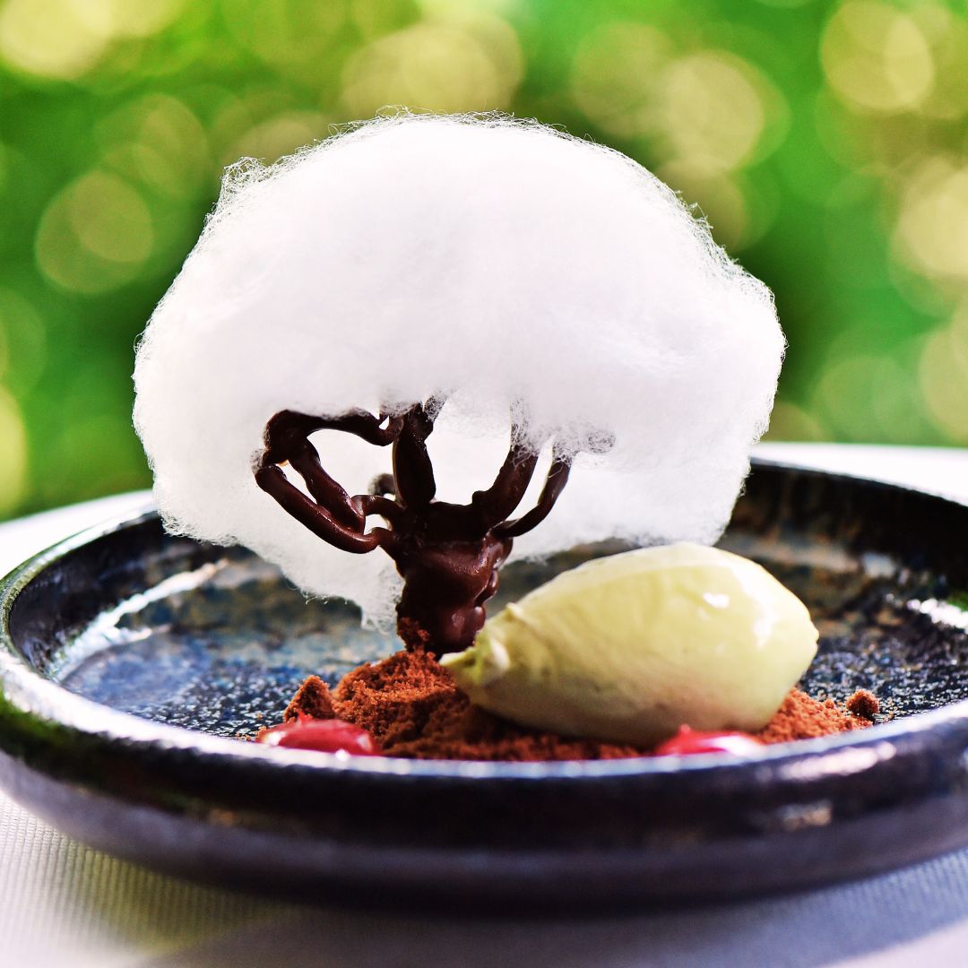 Cina romantica Fine Dining cu asociere de vin