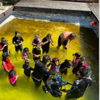 Entry Scuba Experience for Kids – Dalnic Lake