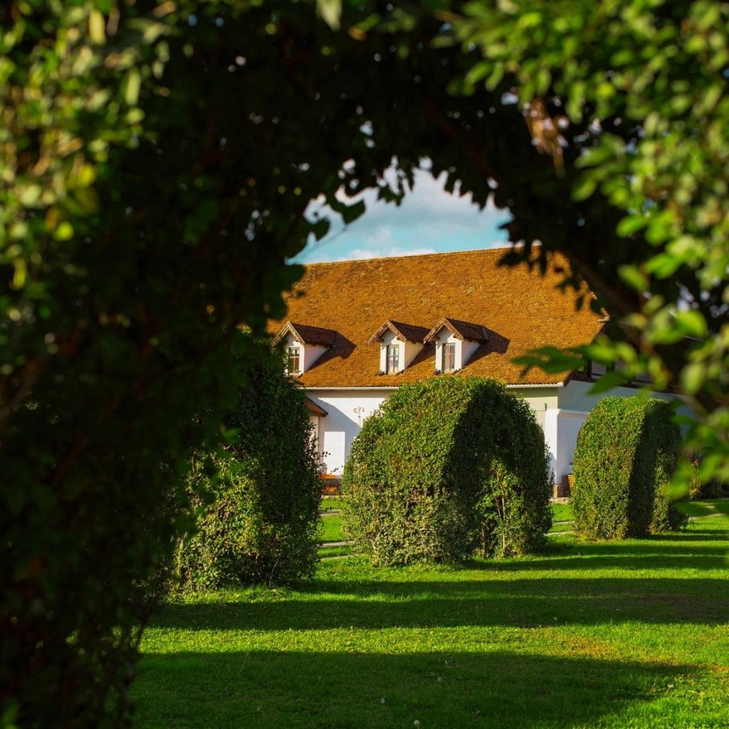 Romantic Covasna Weekend - Luxury Castle Getaway