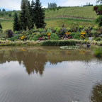 Romantic Weekend Miercurea Ciuc - 2 Nights | CadouriPerfecte