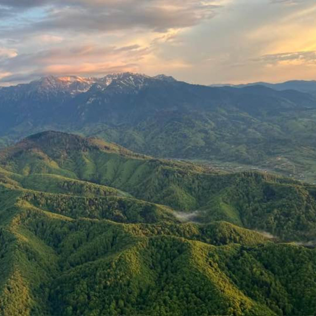 Zbor cu avionul în Brașov pentru familie - Experiență panoramică