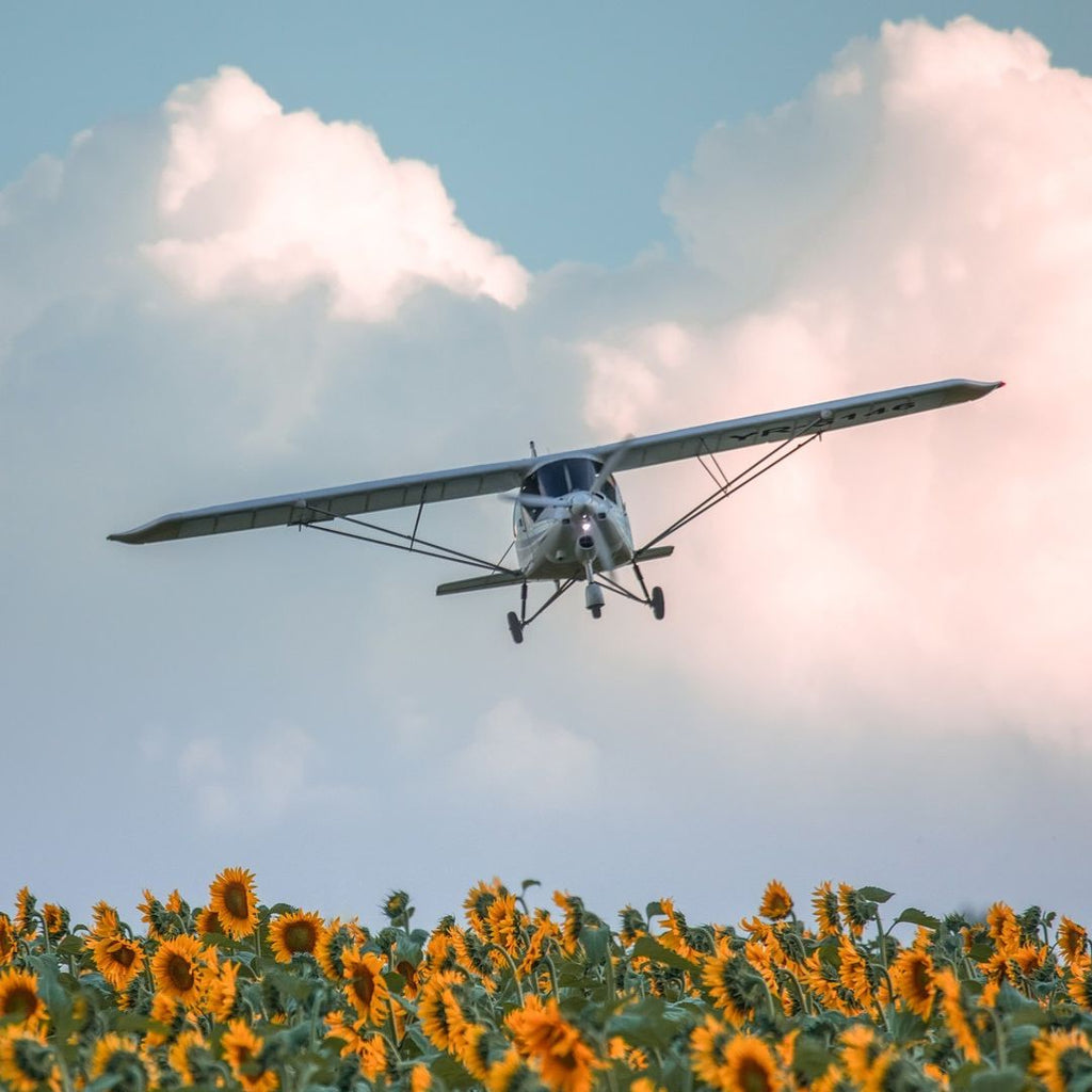 Introduction flight in ultralight aircraft near Bucharest - Pilot Ikarus C42