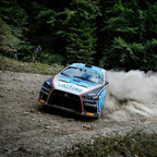 Rally Experience