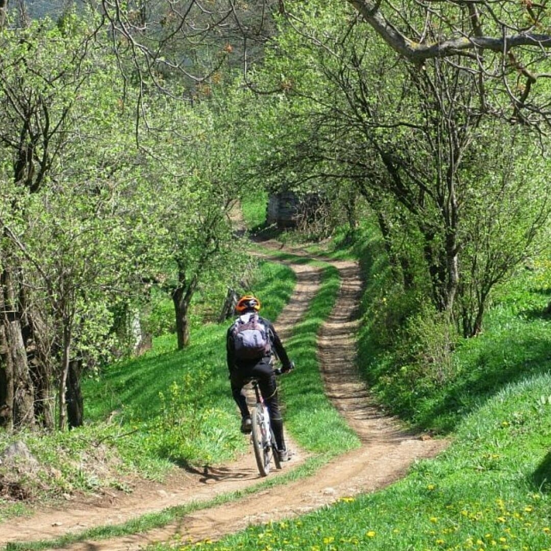 Mountain biking in Muntii Apuseni