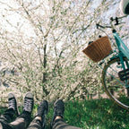 Bike trip in 2