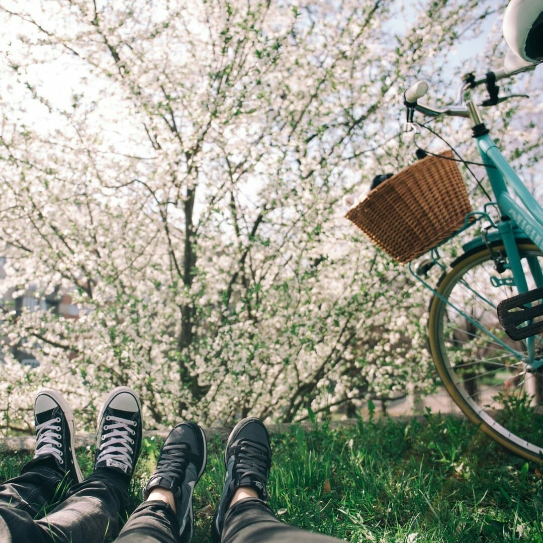 Bike trip in 2