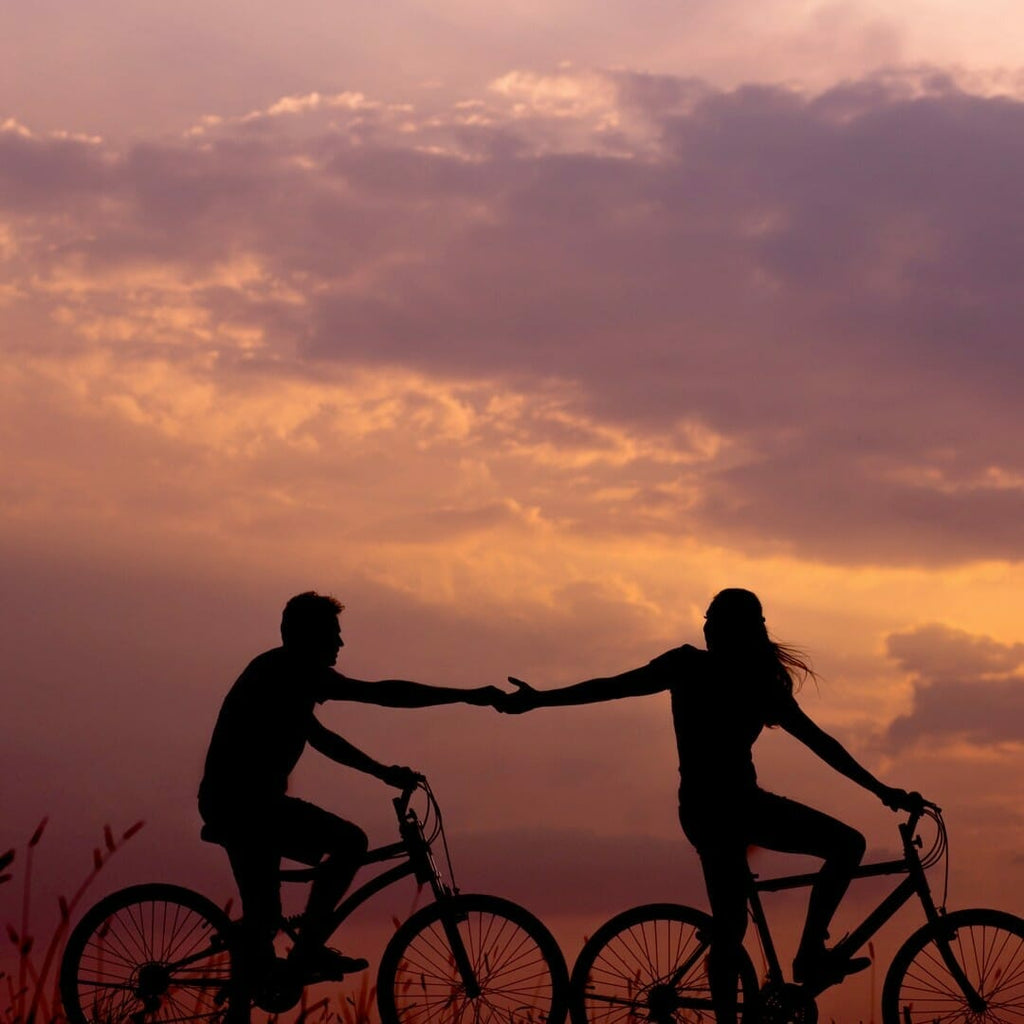 Bike trip in 2