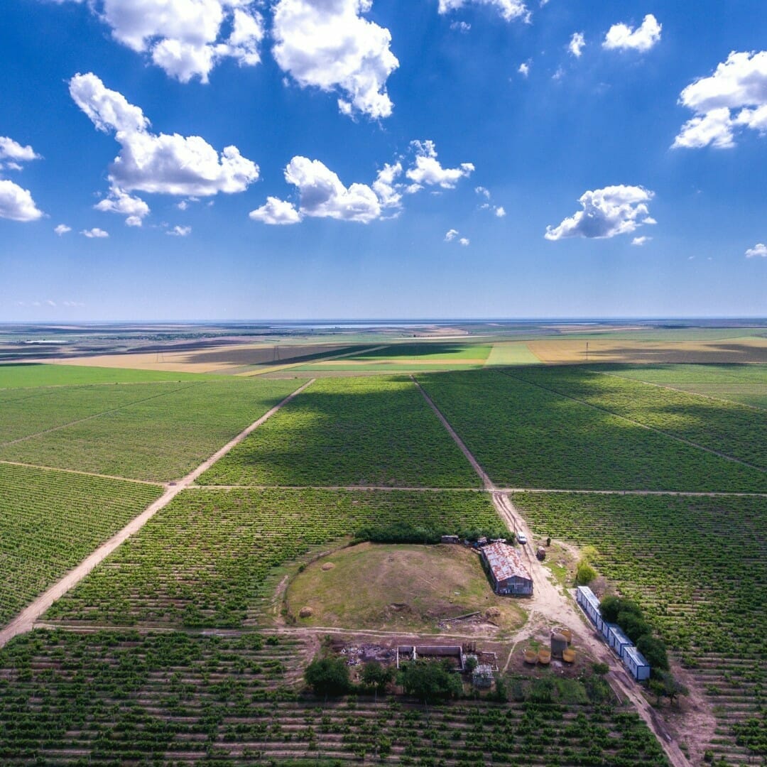 Degustare de vin la Crama Histria
