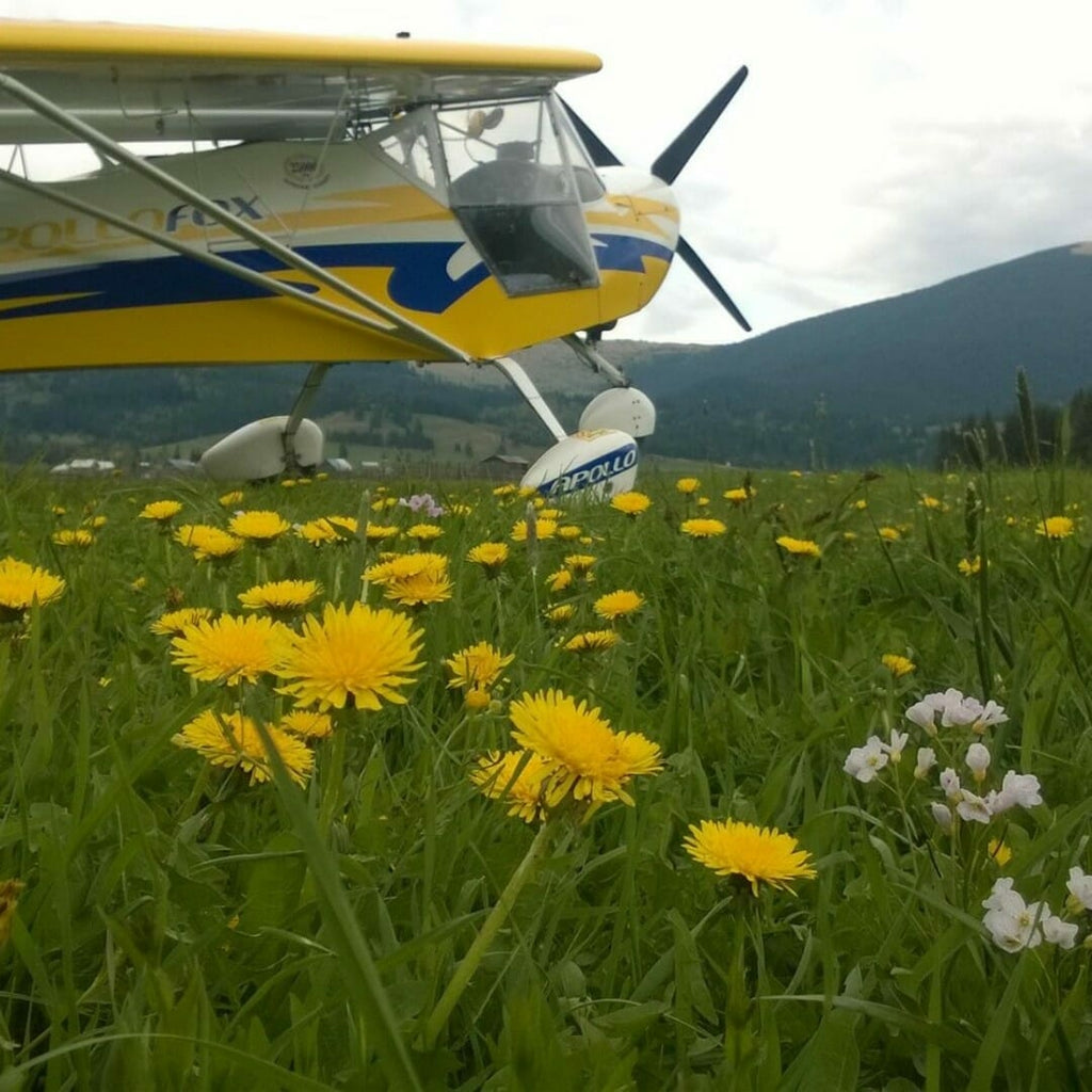 Zbor cu avion ultraușor în Sibiu - Experiență aeriana unică
