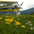 Zbor cu avion ultraușor în Sibiu - Experiență aeriana unică