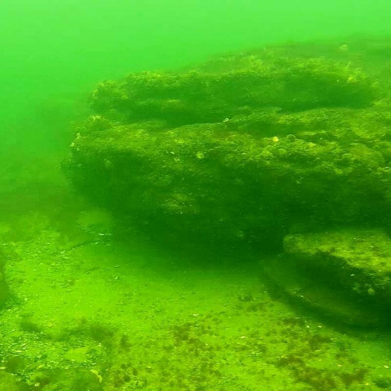 Scuba diving for a couple