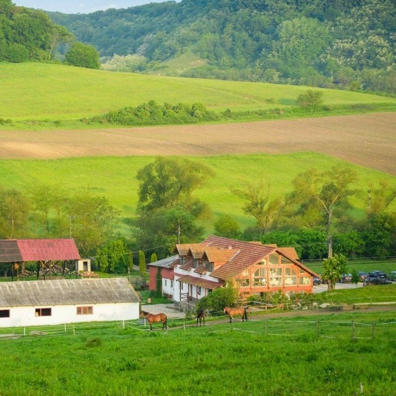Pachete calarie in timpul saptamanii