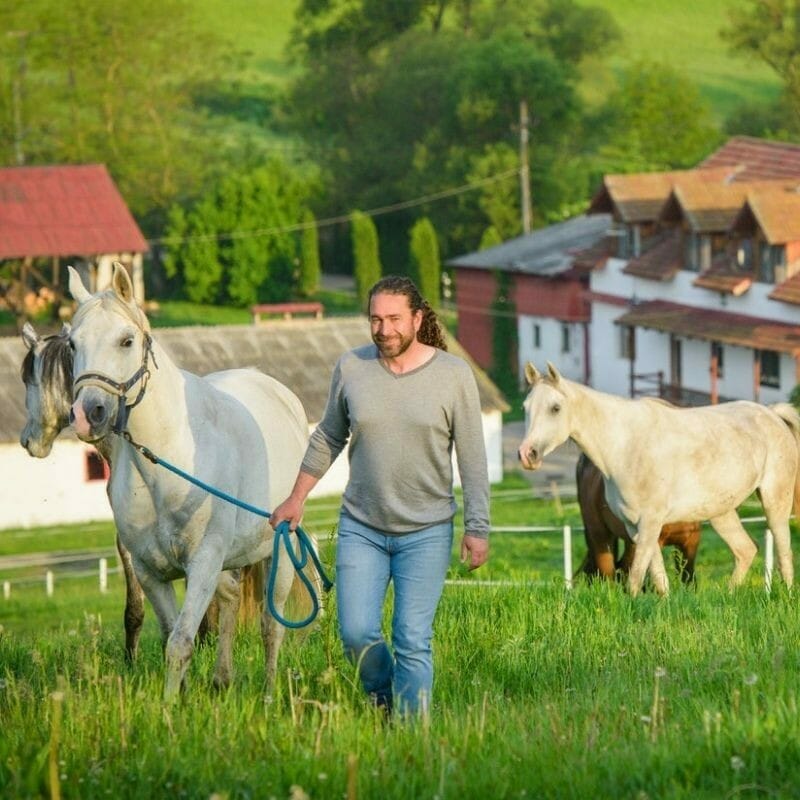Pachete calarie in timpul saptamanii