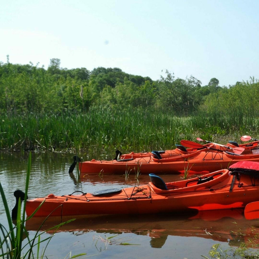 Kayaking in Delta Neajlov
