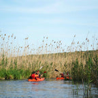 Kayaking in Delta Neajlov