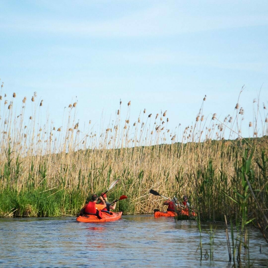 Kayaking in Delta Neajlov
