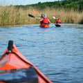 Kayaking in Delta Neajlov
