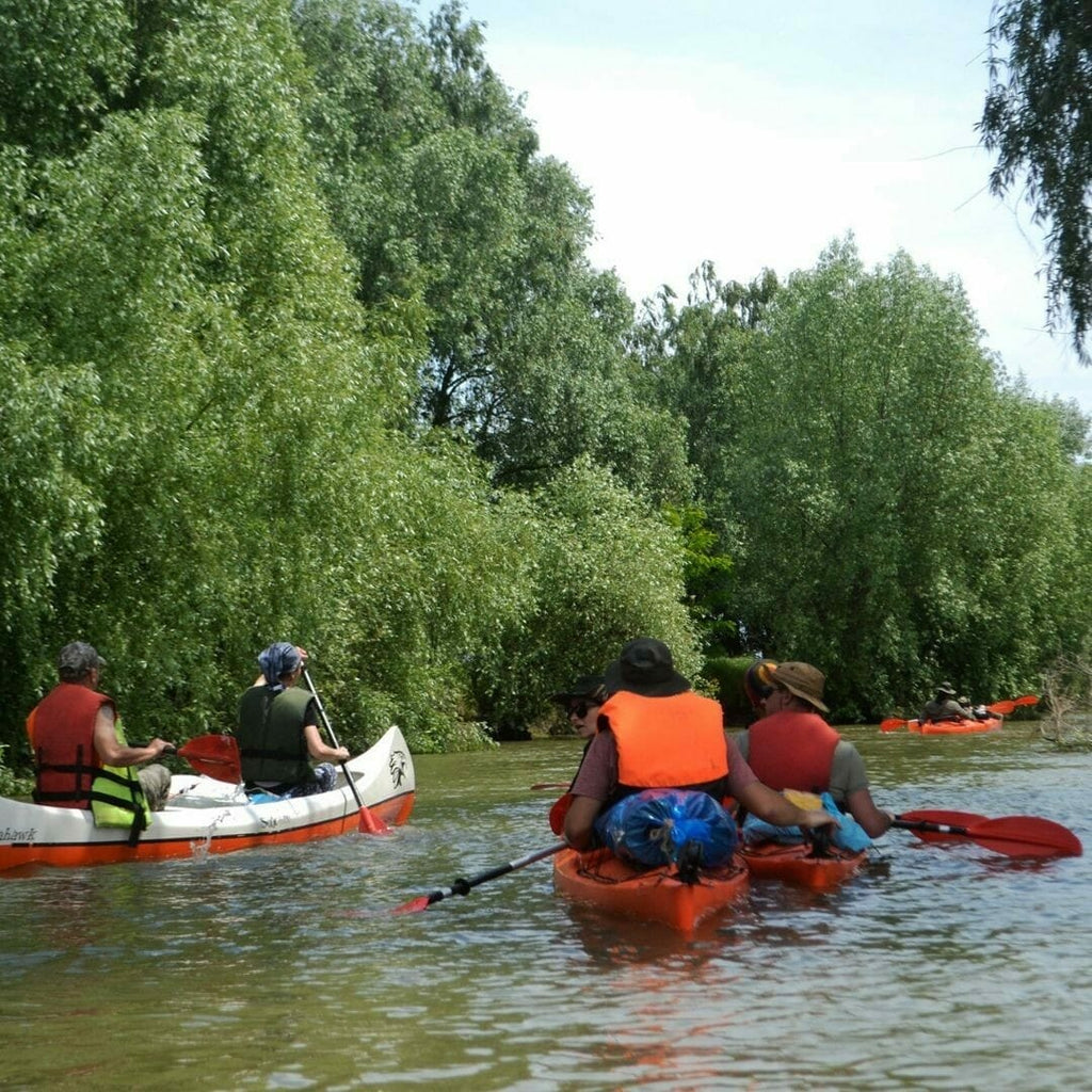 Delta Dunarii vazuta din canoe si caiace