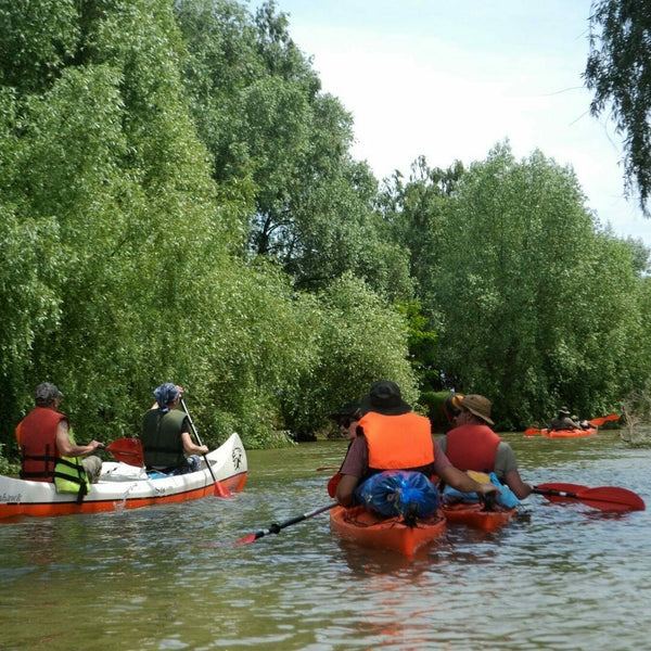The Danube Delta seen from canoes and kayaks