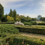 Treasure hunt in Herastrau