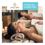 Ana Hotels gift card