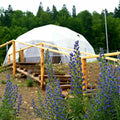 Glamping in Azuga