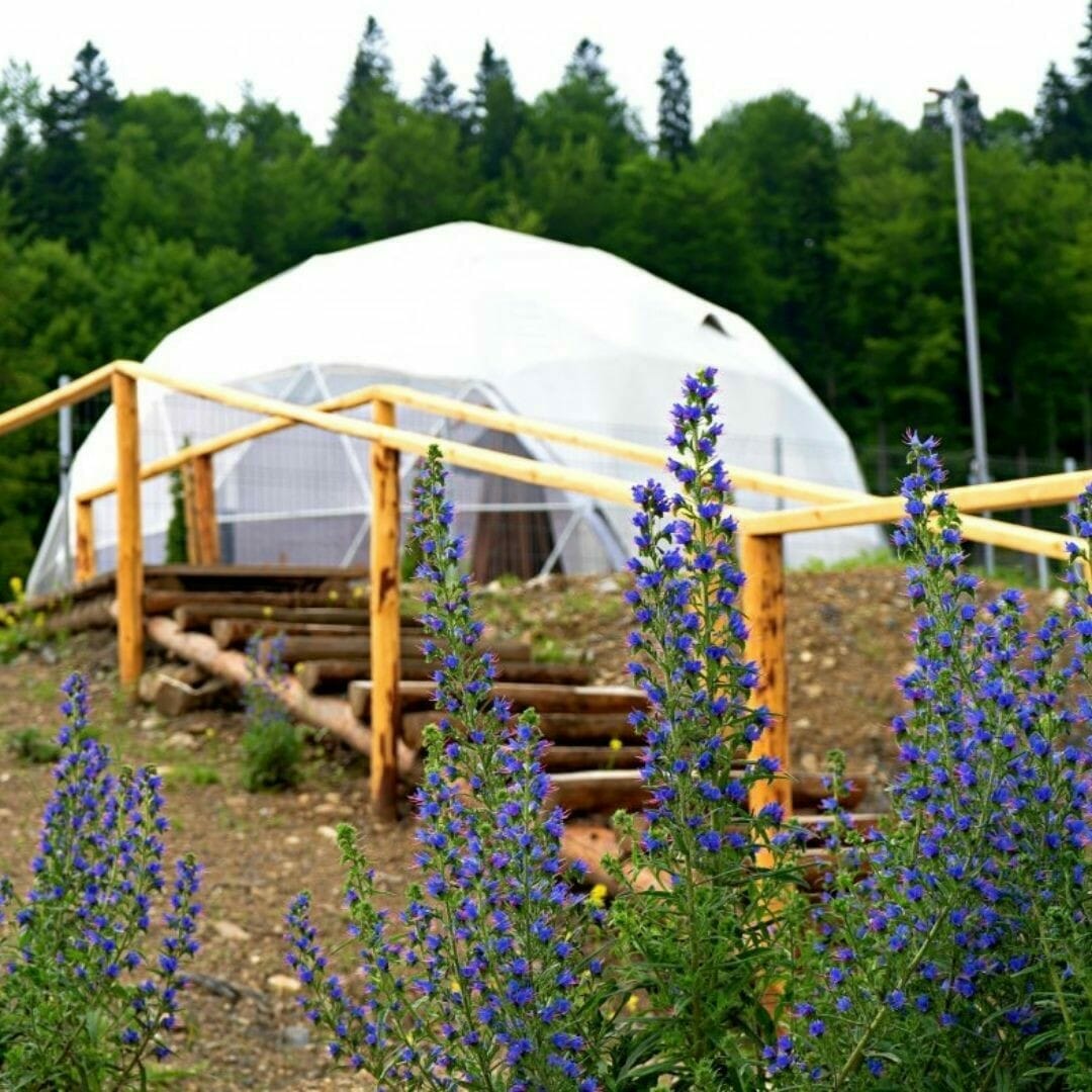 Glamping in Azuga
