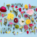 Atelier de parfum