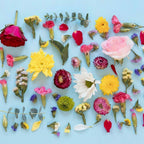 Atelier de parfum