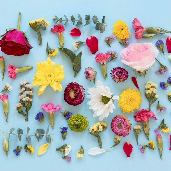 Perfume workshop
