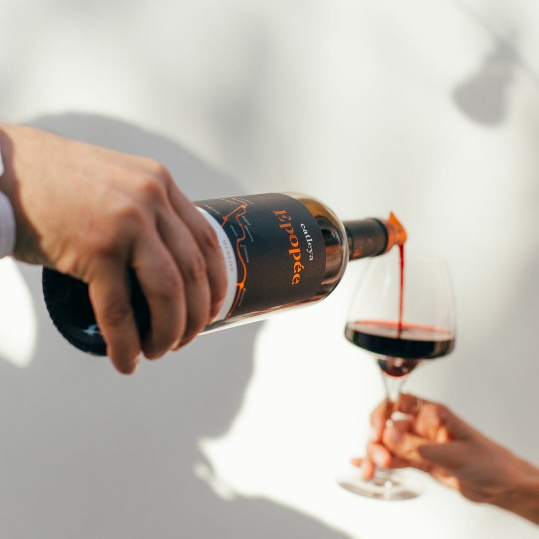Degustare de vin la Crama Catleya