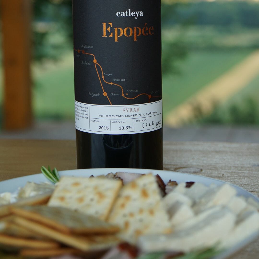 Degustare de vin la Crama Catleya