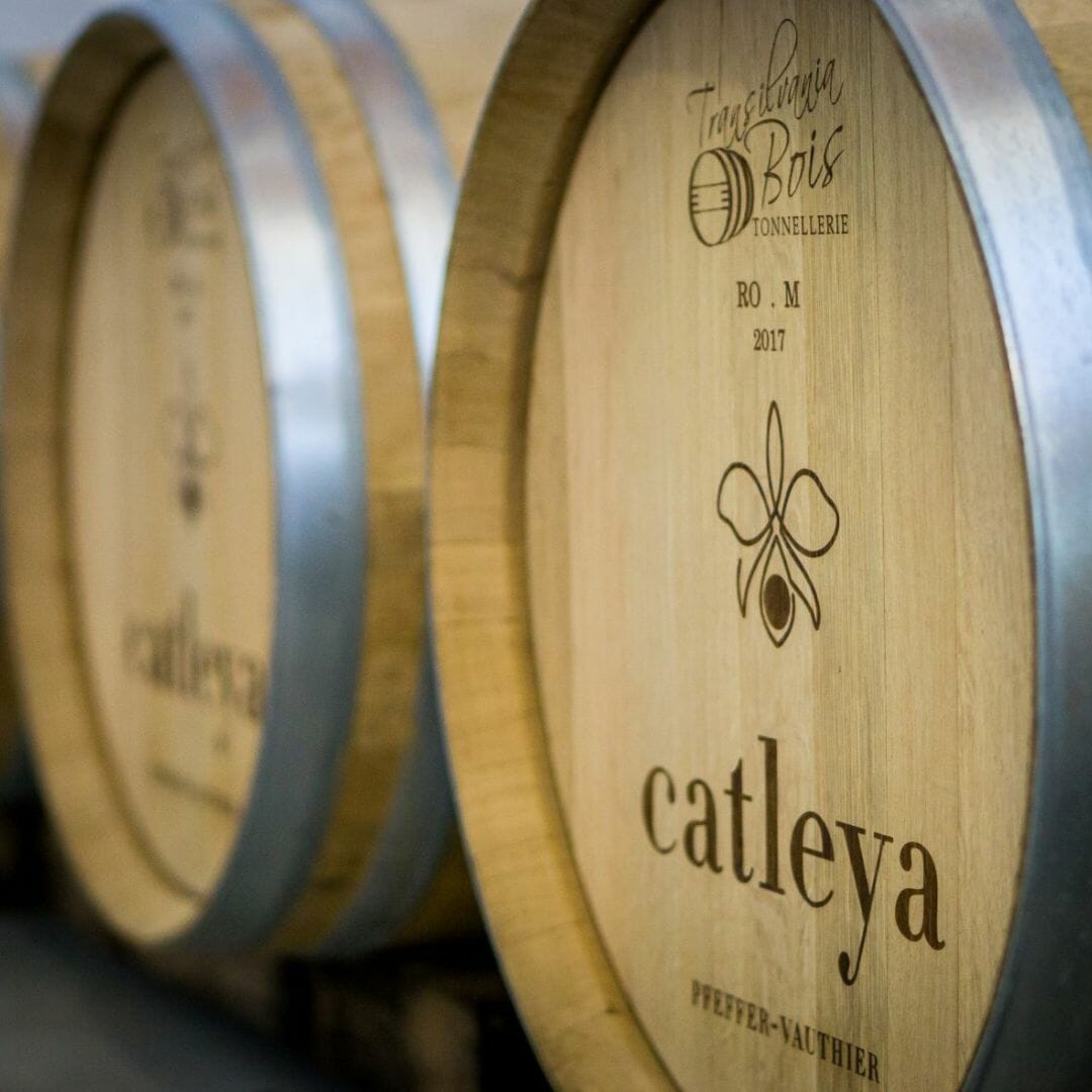 Degustare de vin romantica in Corcova