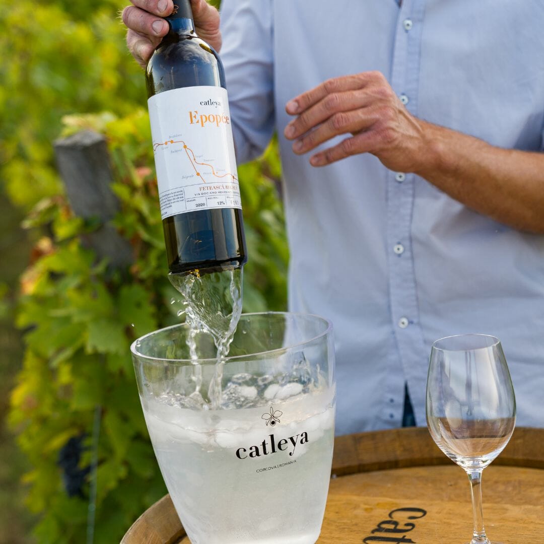 Degustare de vin romantica in Corcova